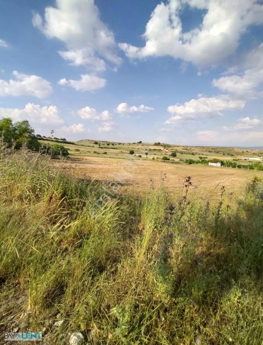 Altıeylül Pamukçu Mahallsinde Güzel Konumda Satılık Tarla - Görsel 8