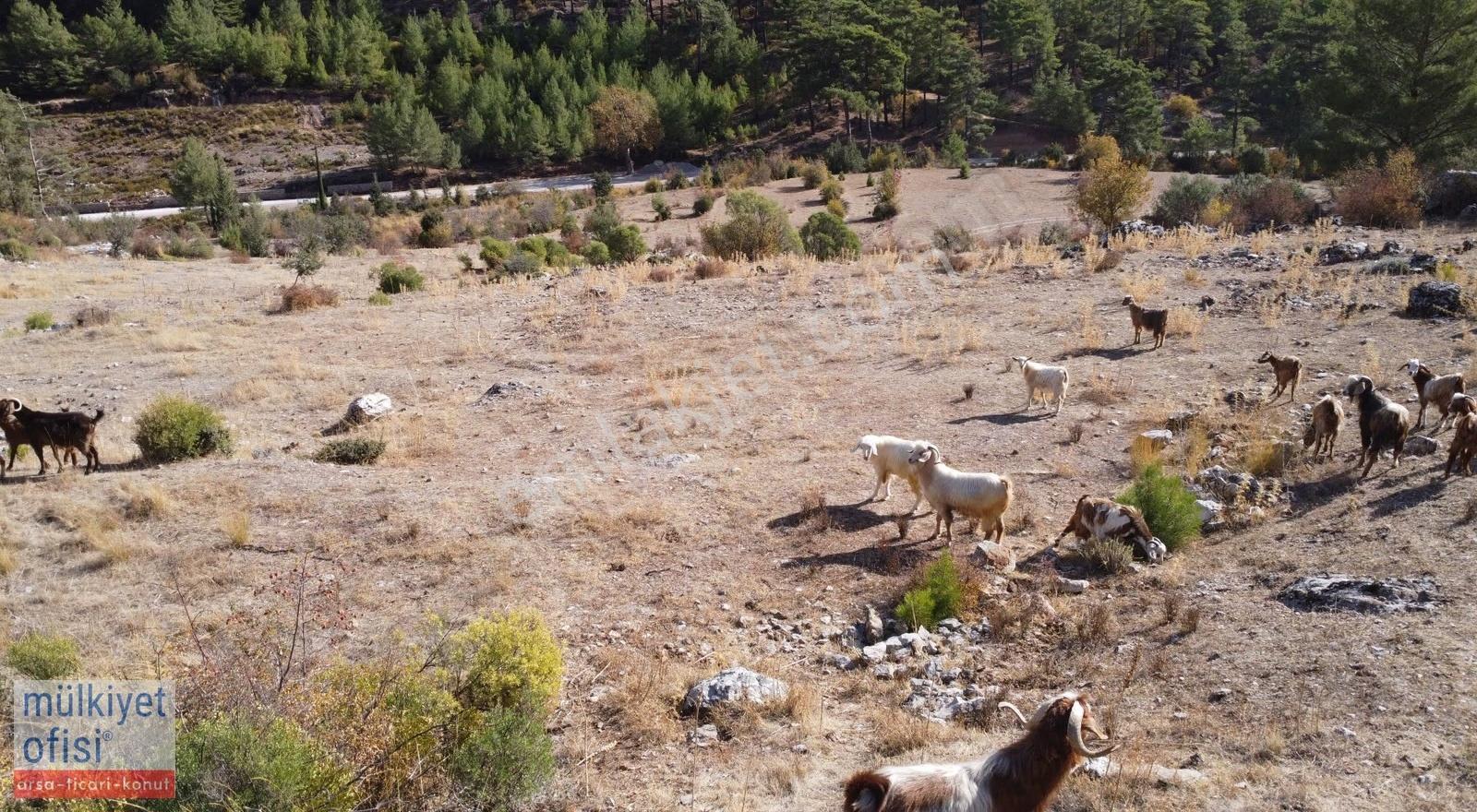 Fethiyede Villara Komşu, Takaslı Fırsat Yatırımlık 15400m2 Tarla - Görsel 2