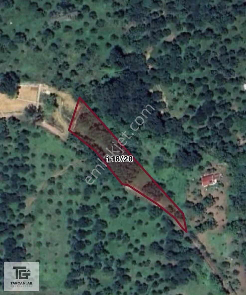 Tarcanlardan Yenieşmede 1735 Metre Kare Fulll. Göl Manzaralı - Görsel 2