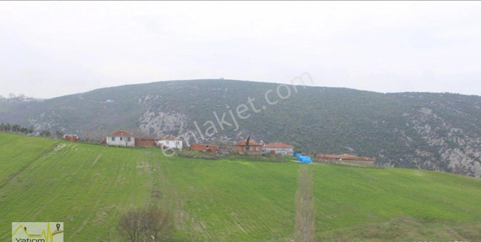 Manyas Kapaklı'da Satılık 17.632m2 Arazi