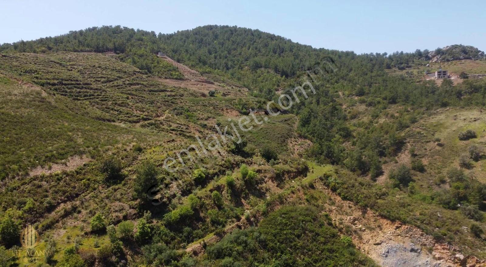 Gazipaşa Kızılgüneyde Köy Yerleşime Yakın Satılık Tarla - Görsel 2