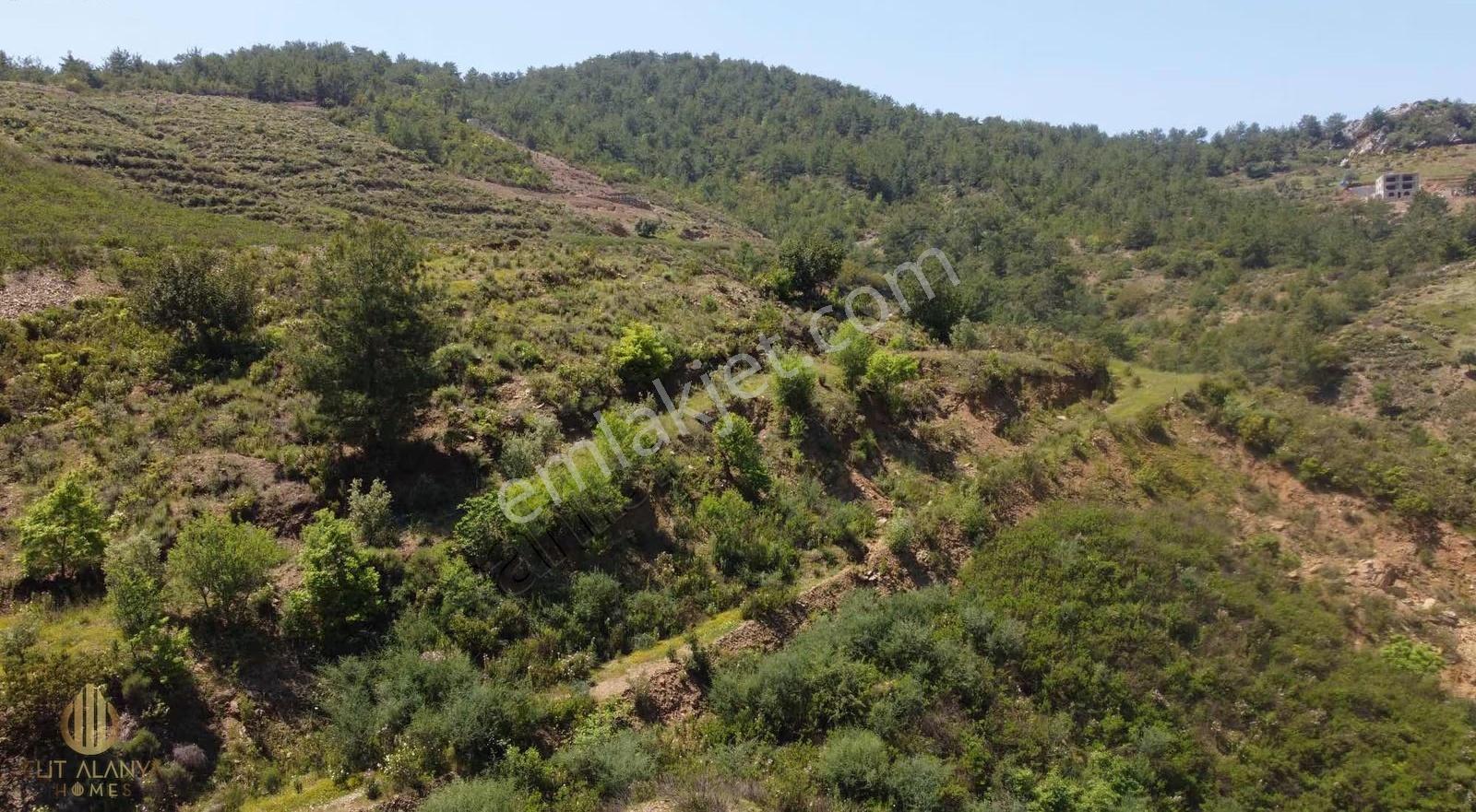 Gazipaşa Kızılgüneyde Köy Yerleşime Yakın Satılık Tarla - Görsel 6