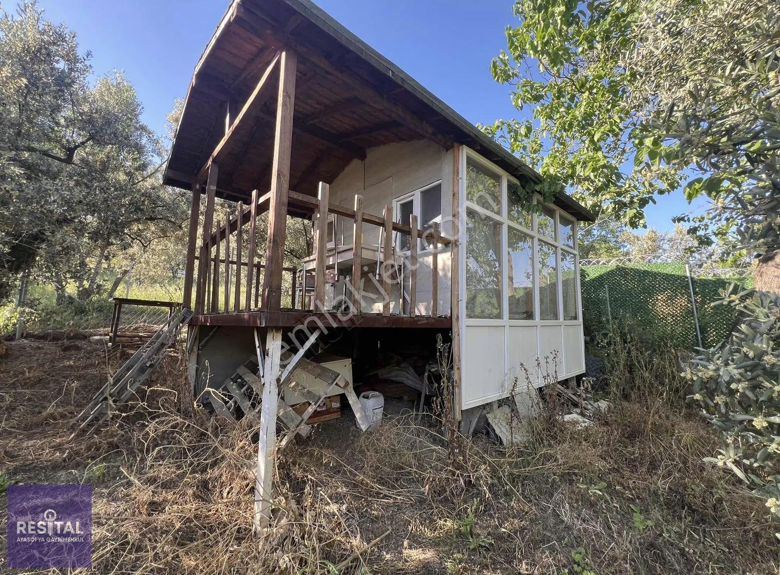 Mudanya Çepni 842m2 Zeytinlik/hobi Bahçesi -bölgenin Gözdesi- - Görsel 5