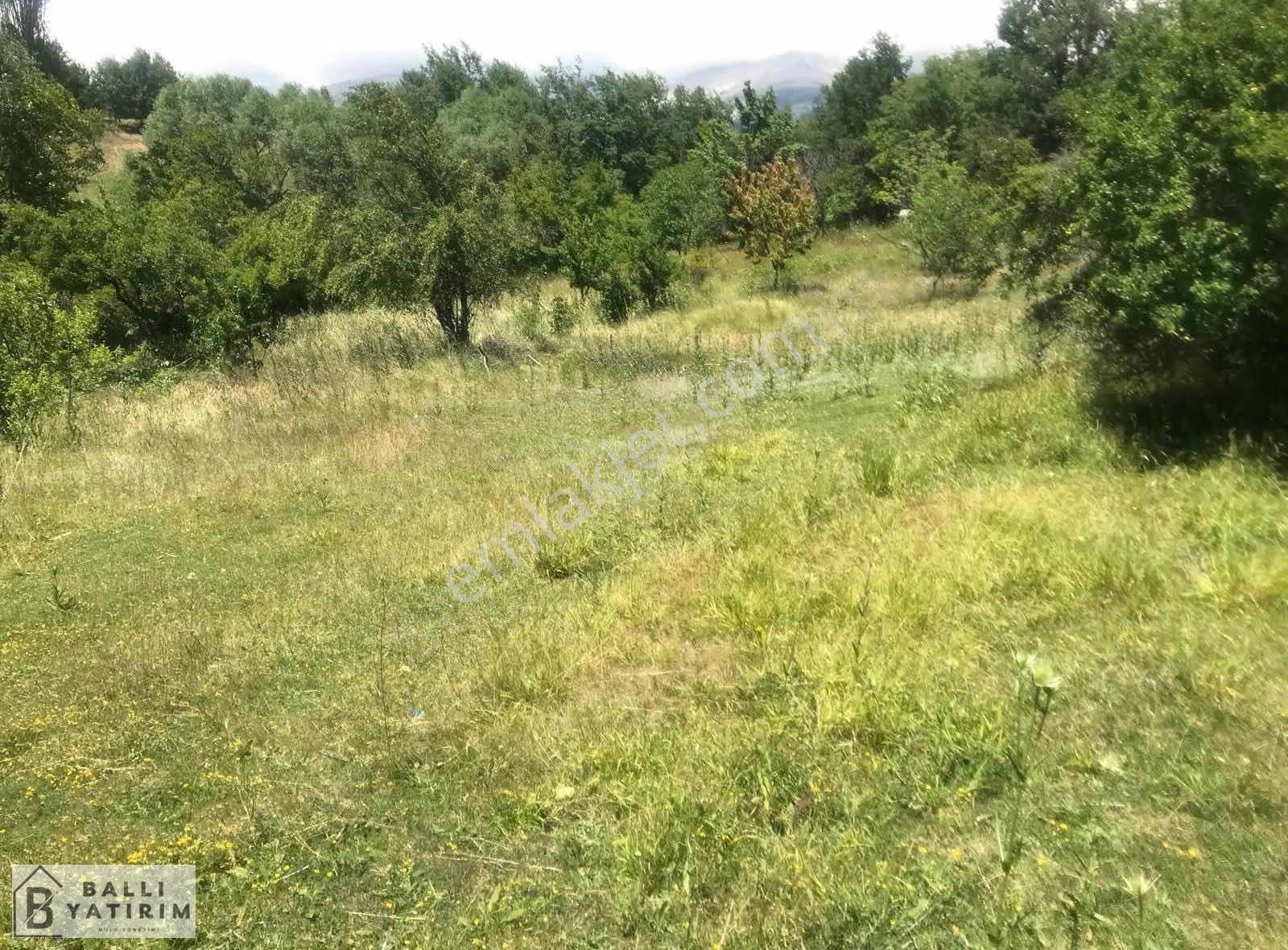 Ballı Yatırım'dan Keles Dağdibi Köyünde Tek Tapu 960m2 Tarla