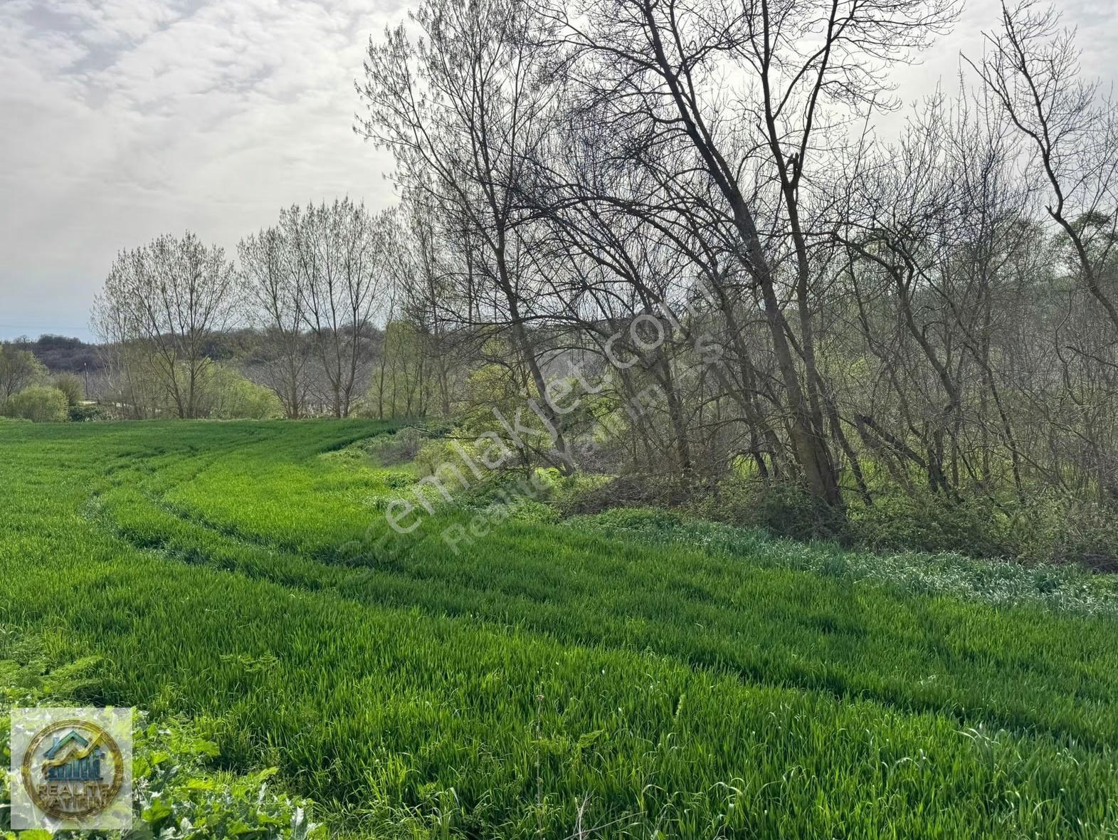 Lüleburgaz Ceylanköy'de Satılık 1542 M² Tek Tapu Tarla - Görsel 12