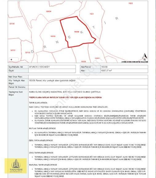 Satılık Zeytinlik Çanakkale Ayvacık Babakale Kocaköy - Görsel 3