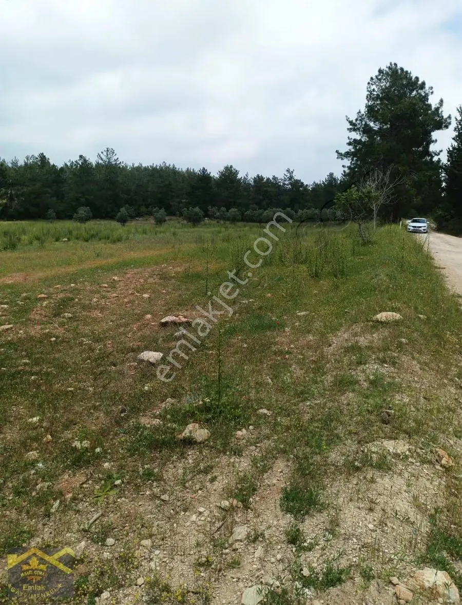 Yeşilderenin Hemen Üzerinde Yol Cepheli Satılık Tarla - Görsel 3