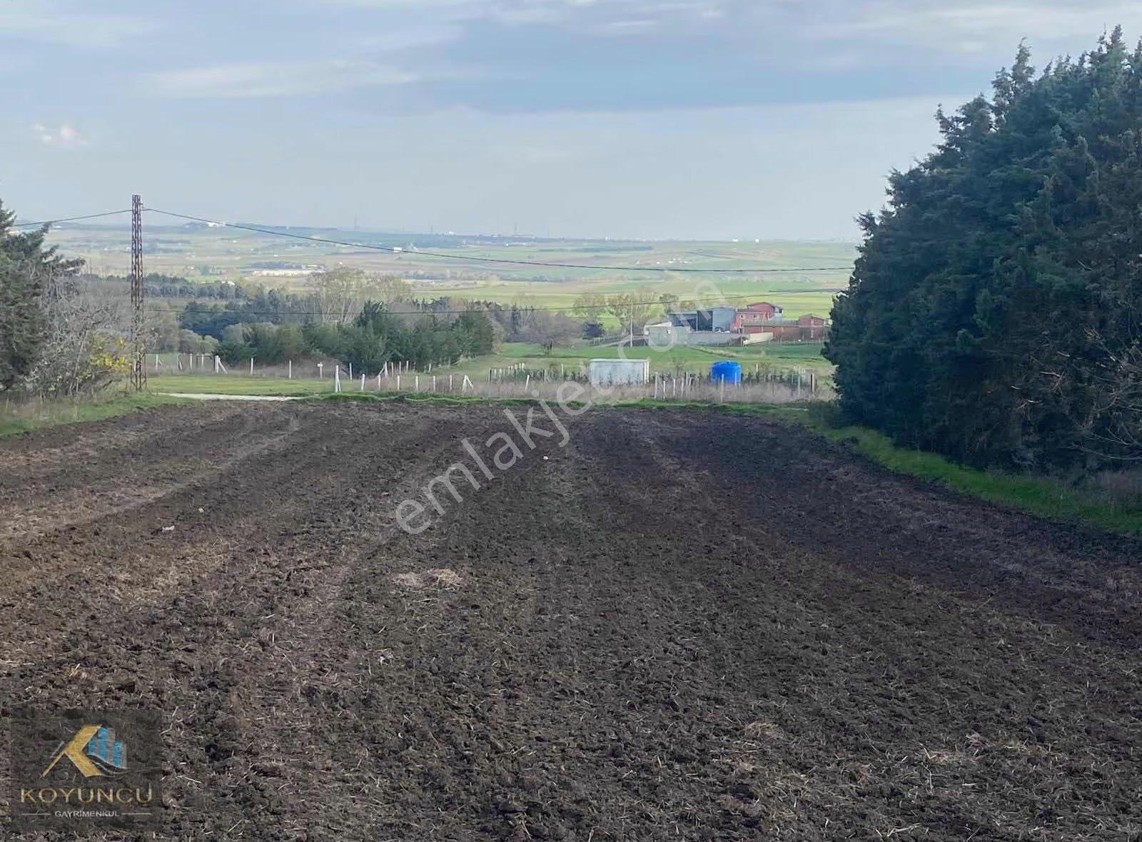 ^^koyuncu Gyrm^^silivri Seymen'de Satılık 1256 M2 Bağ Yeri - Görsel 8