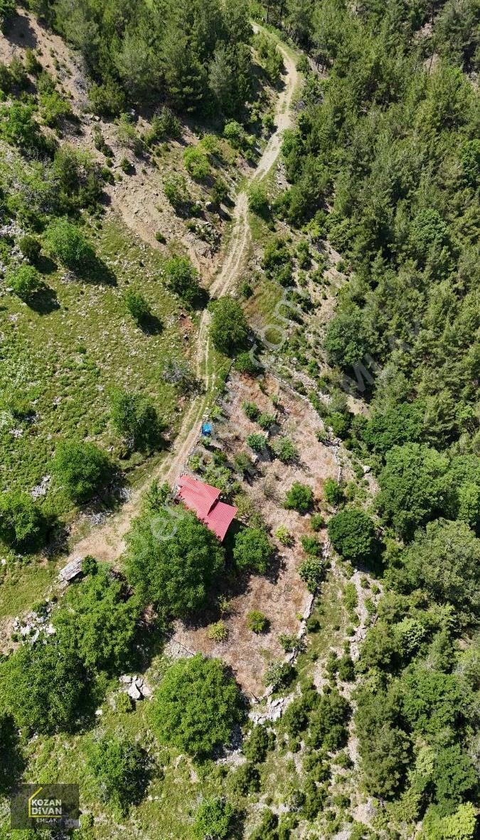 Kozan Divan Emlak'tan Kuytucak'ta 12.443 M2 Arsamız Satılıktır - Görsel 4