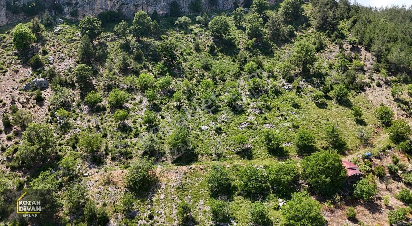 Kozan Divan Emlak'tan Kuytucak'ta 12.443 M2 Arsamız Satılıktır - Görsel 15