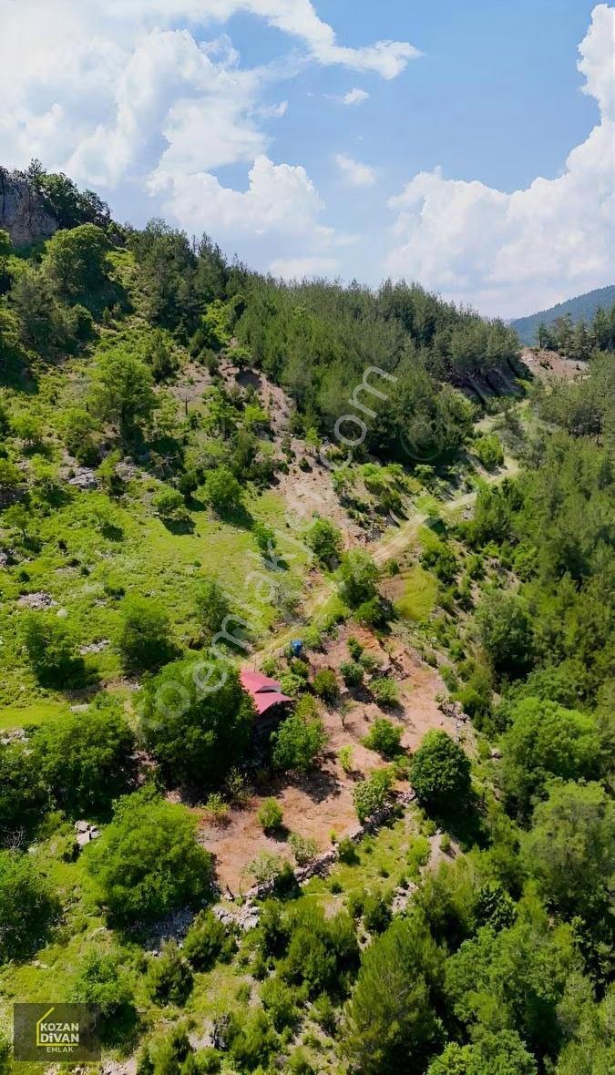 Kozan Divan Emlak'tan Kuytucak'ta 12.443 M2 Arsamız Satılıktır - Görsel 14