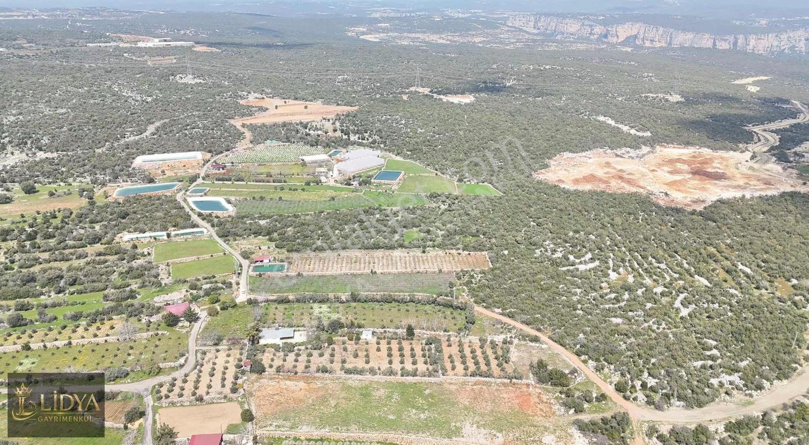 Esenpınar Ağlıca'da 5.575 M2 Satılık Zeytin Bahçesi - Görsel 6
