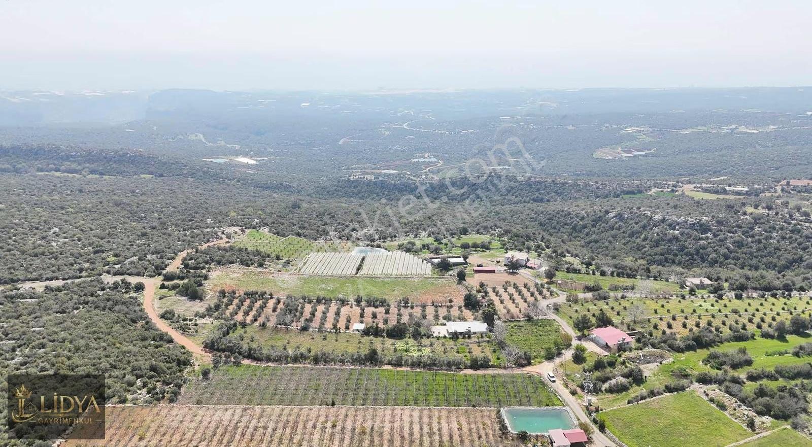 Esenpınar Ağlıca'da 5.575 M2 Satılık Zeytin Bahçesi - Görsel 5