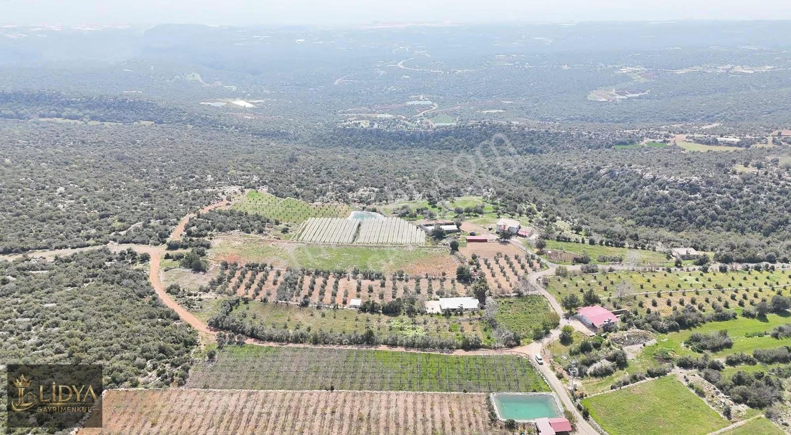 Esenpınar Ağlıca'da 5.575 M2 Satılık Zeytin Bahçesi - Görsel 11