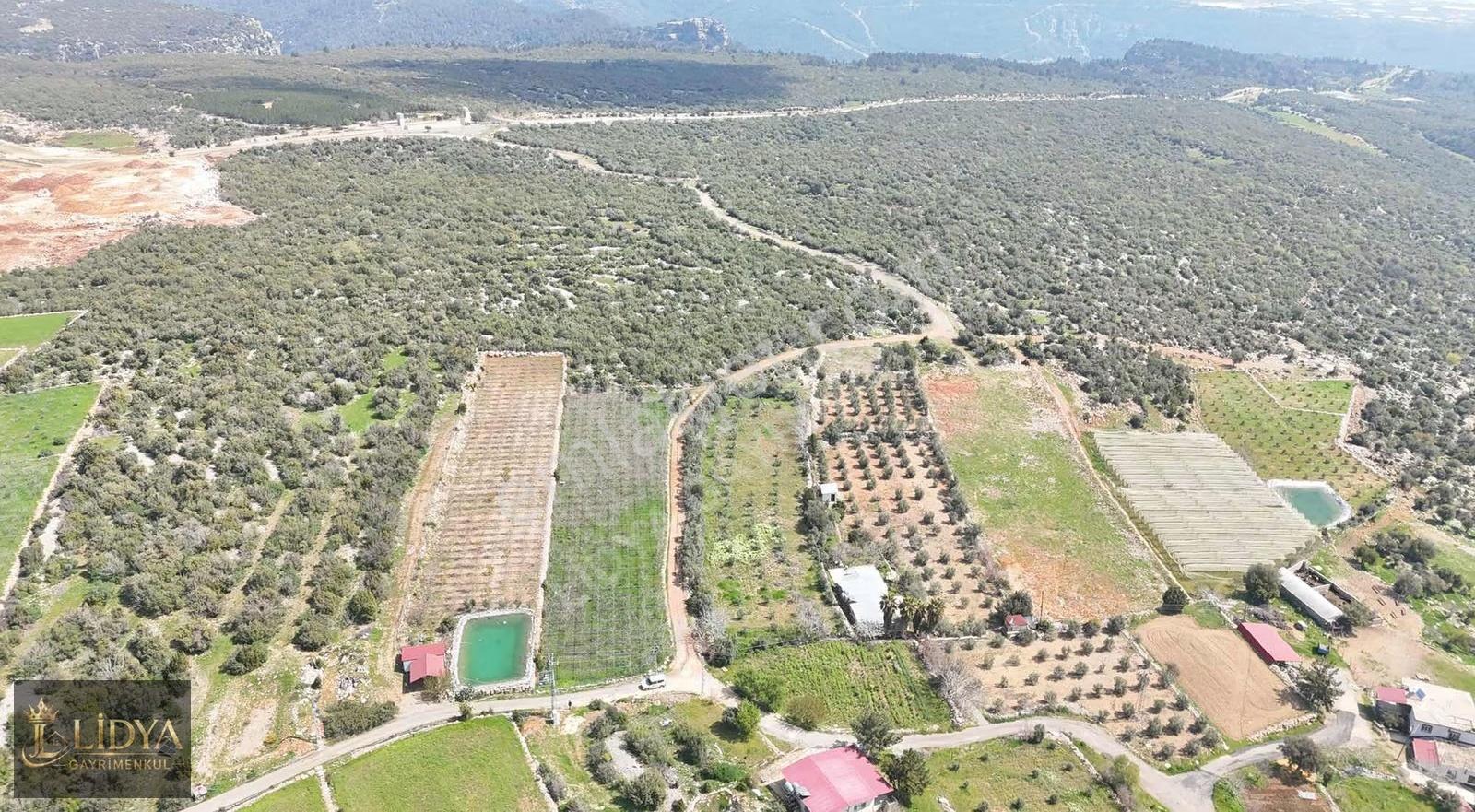 Esenpınar Ağlıca'da 5.575 M2 Satılık Zeytin Bahçesi - Görsel 8