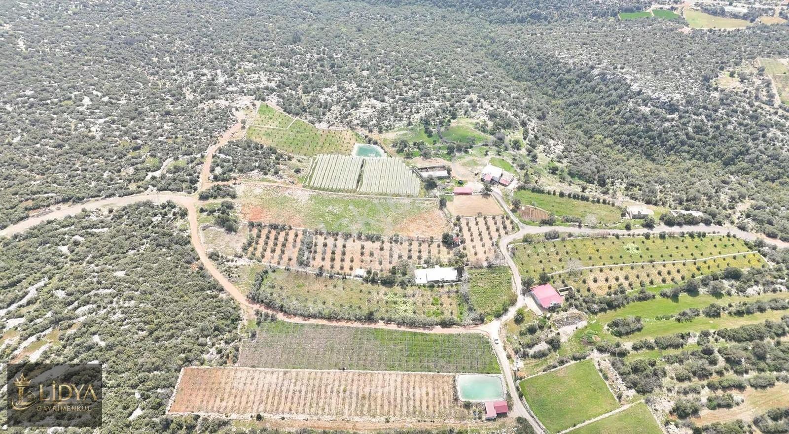 Esenpınar Ağlıca'da 5.575 M2 Satılık Zeytin Bahçesi - Görsel 3