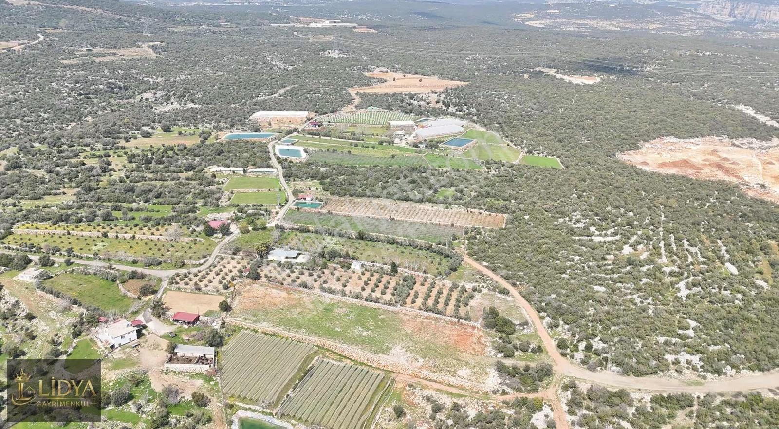 Esenpınar Ağlıca'da 5.575 M2 Satılık Zeytin Bahçesi - Görsel 10