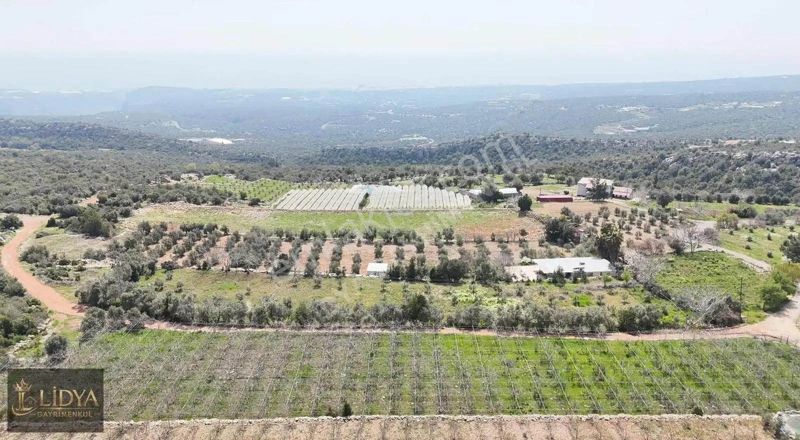 Esenpınar Ağlıca'da 5.575 M2 Satılık Zeytin Bahçesi - Görsel 4