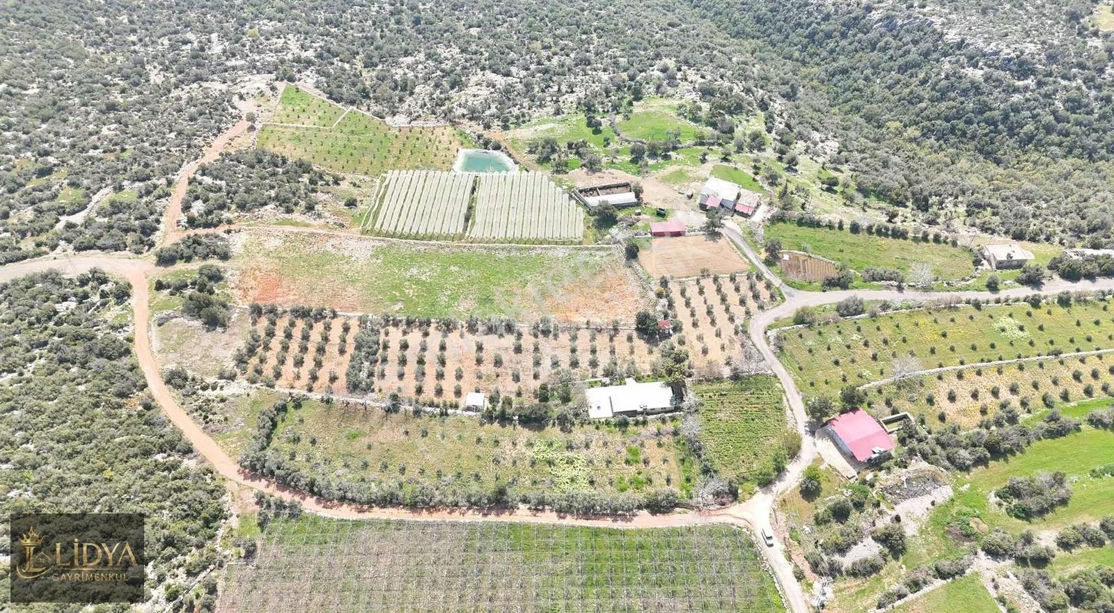Esenpınar Ağlıca'da 5.575 M2 Satılık Zeytin Bahçesi - Görsel 9