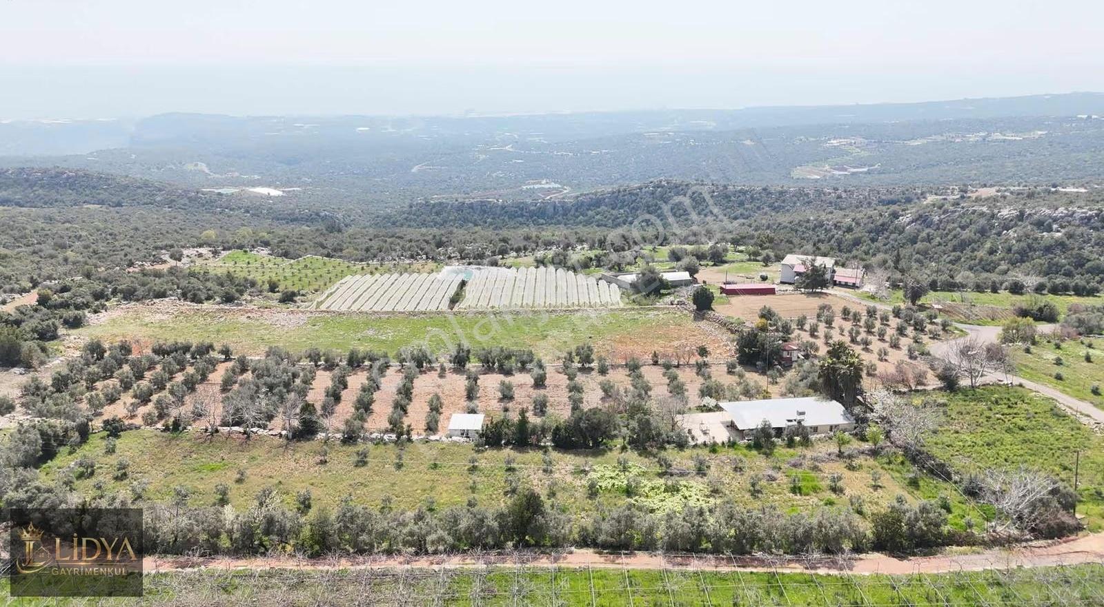 Esenpınar Ağlıca'da 5.575 M2 Satılık Zeytin Bahçesi - Görsel 13