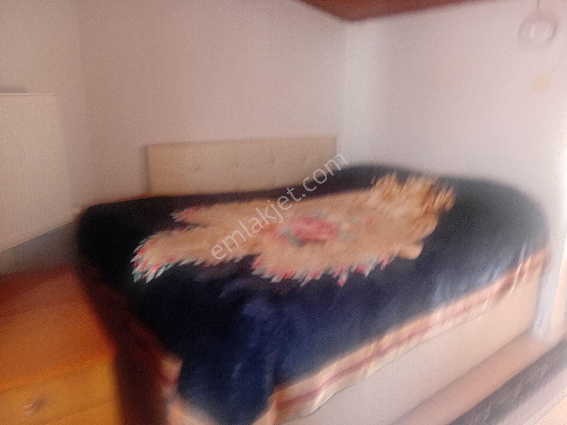 Topağaçta Deniz Manzaralı Müstakil Villa - Görsel 10