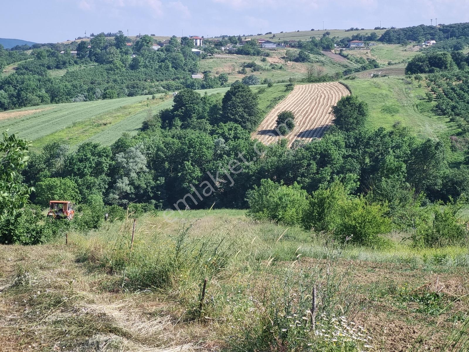 Kandıra Şerefsungurda 6812 M2 Satılık Arazi - Görsel 3