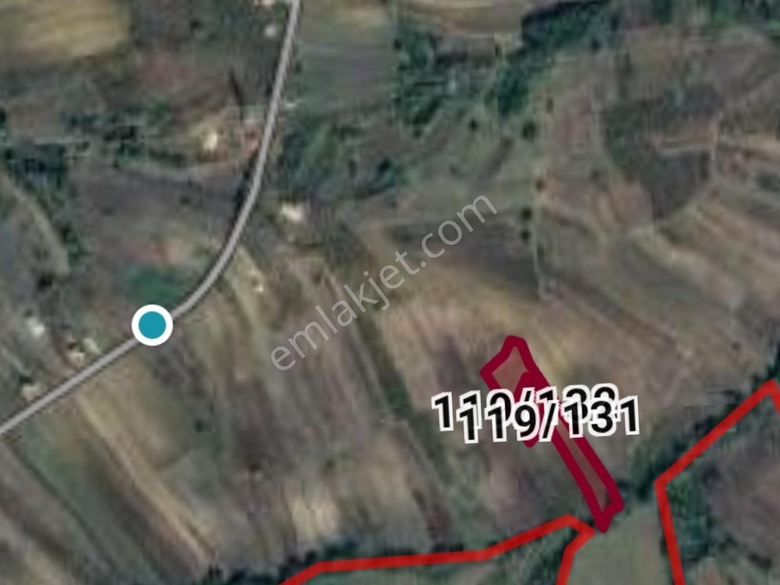 Kandıra Şerefsungurda 6812 M2 Satılık Arazi - Görsel 7