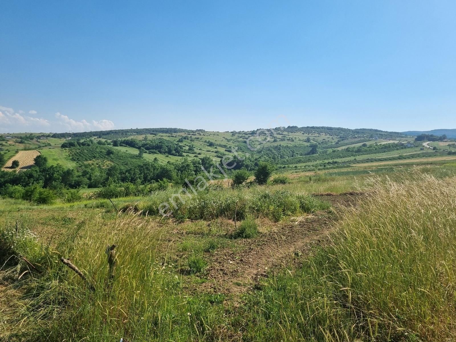 Kandıra Şerefsungurda 6812 M2 Satılık Arazi - Görsel 2