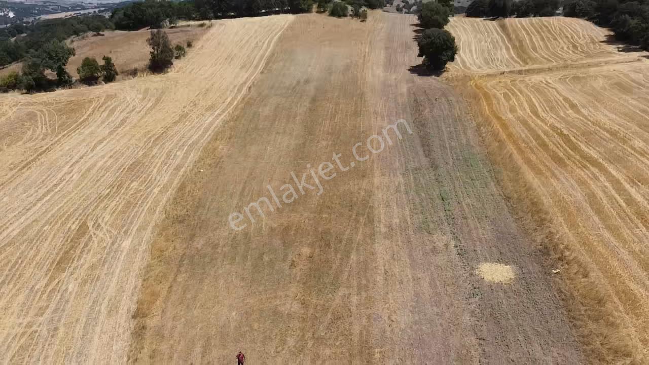 Balcity - Gökçeyazı'da İmara Yakın Resmi Yola Cepheli 4 Dönüm Arsa Vasıfında Arazi