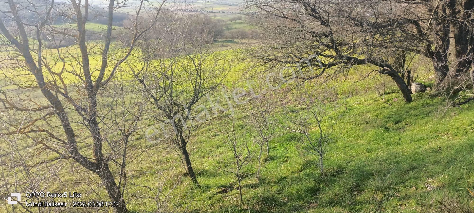 Balcity - Gökçeyazı'da İmara Yakın Resmi Yola Cepheli 4 Dönüm Arsa Vasıfında Arazi - Görsel 21