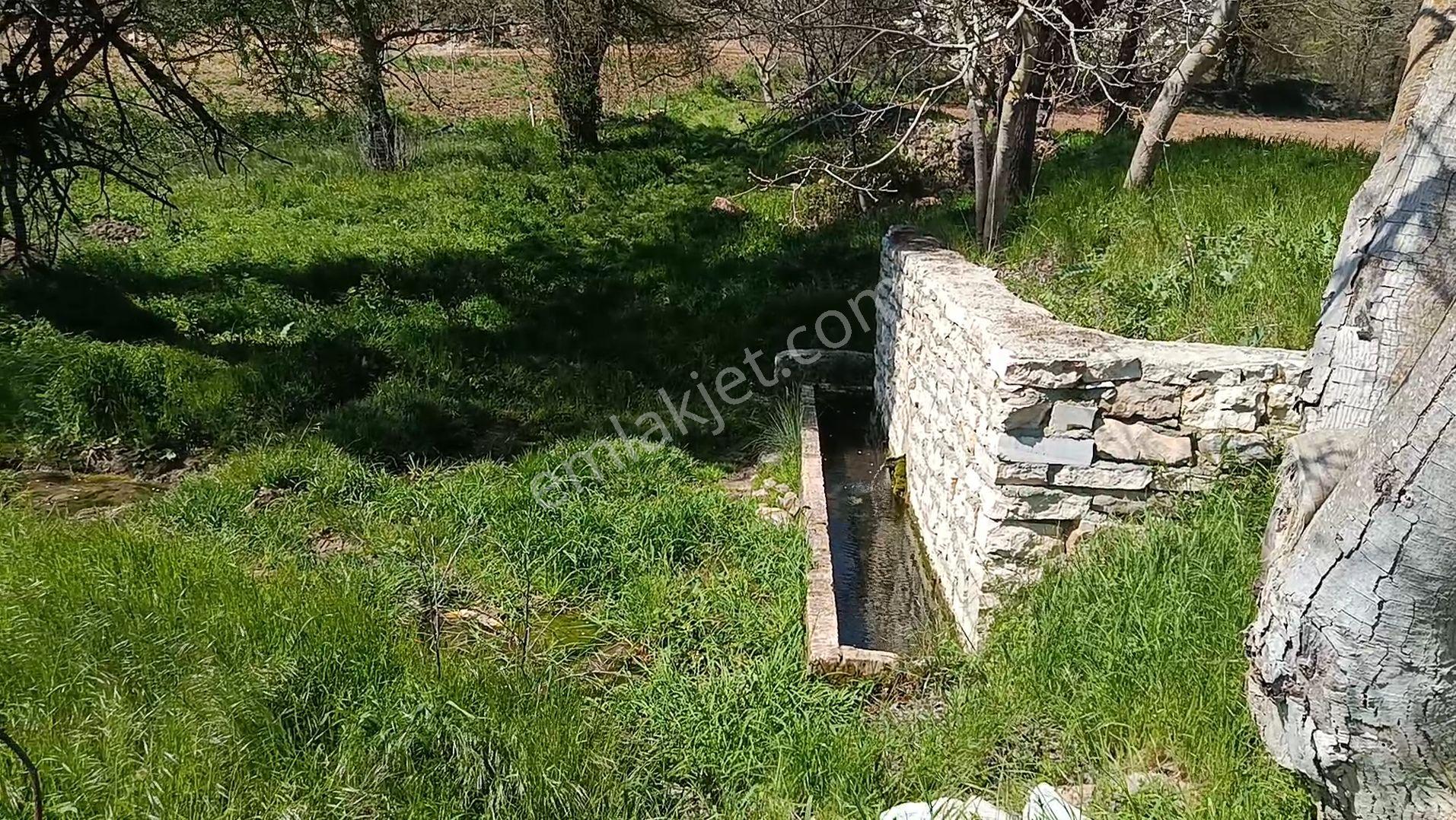 Gökpınar Satılık Tarla - Görsel 6