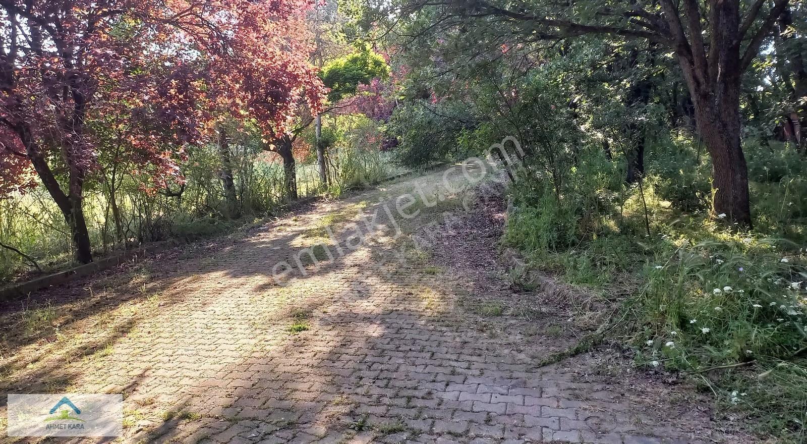Ahmet Kara Gayrimenkul'den Meşe Ağaçlarının İçinde 1100 M2 Tek - Görsel 3