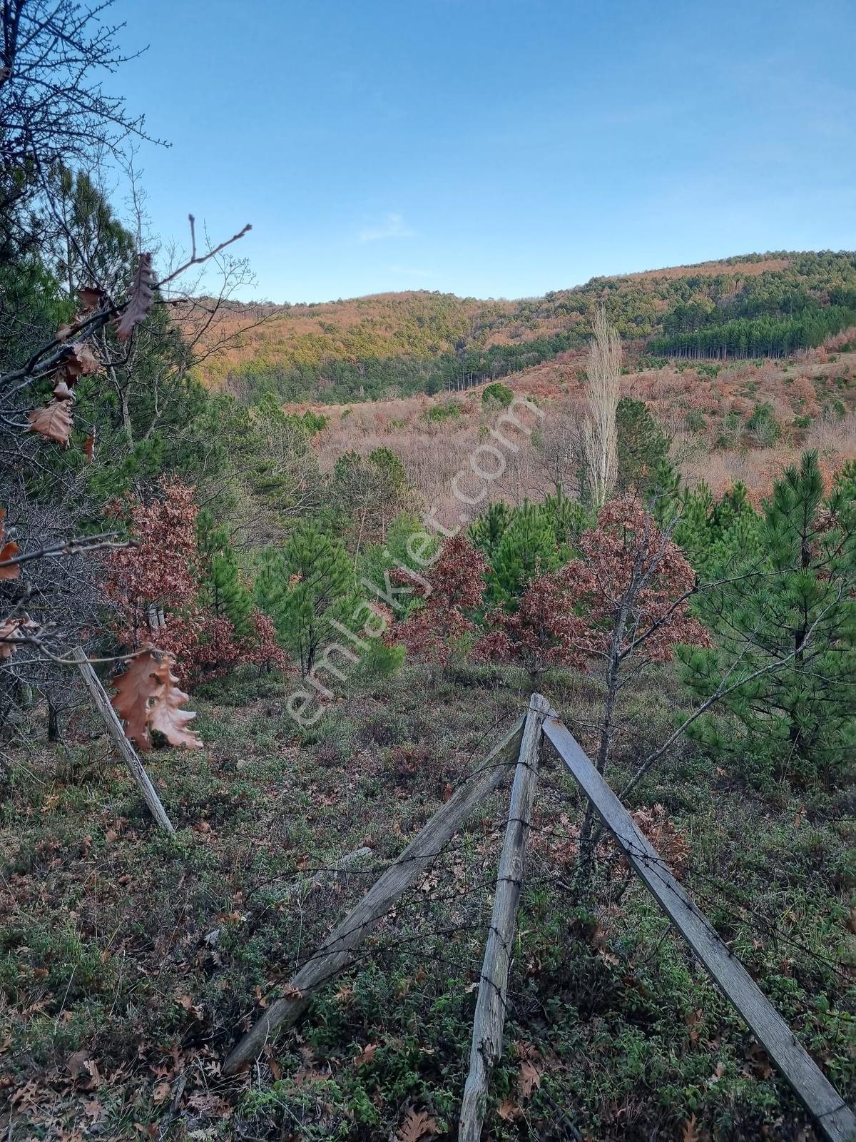 Bayramiç Osmaniye 60m Cepheli 3.625 M2 Yarı Fiyatına Acil Tarla - Görsel 16