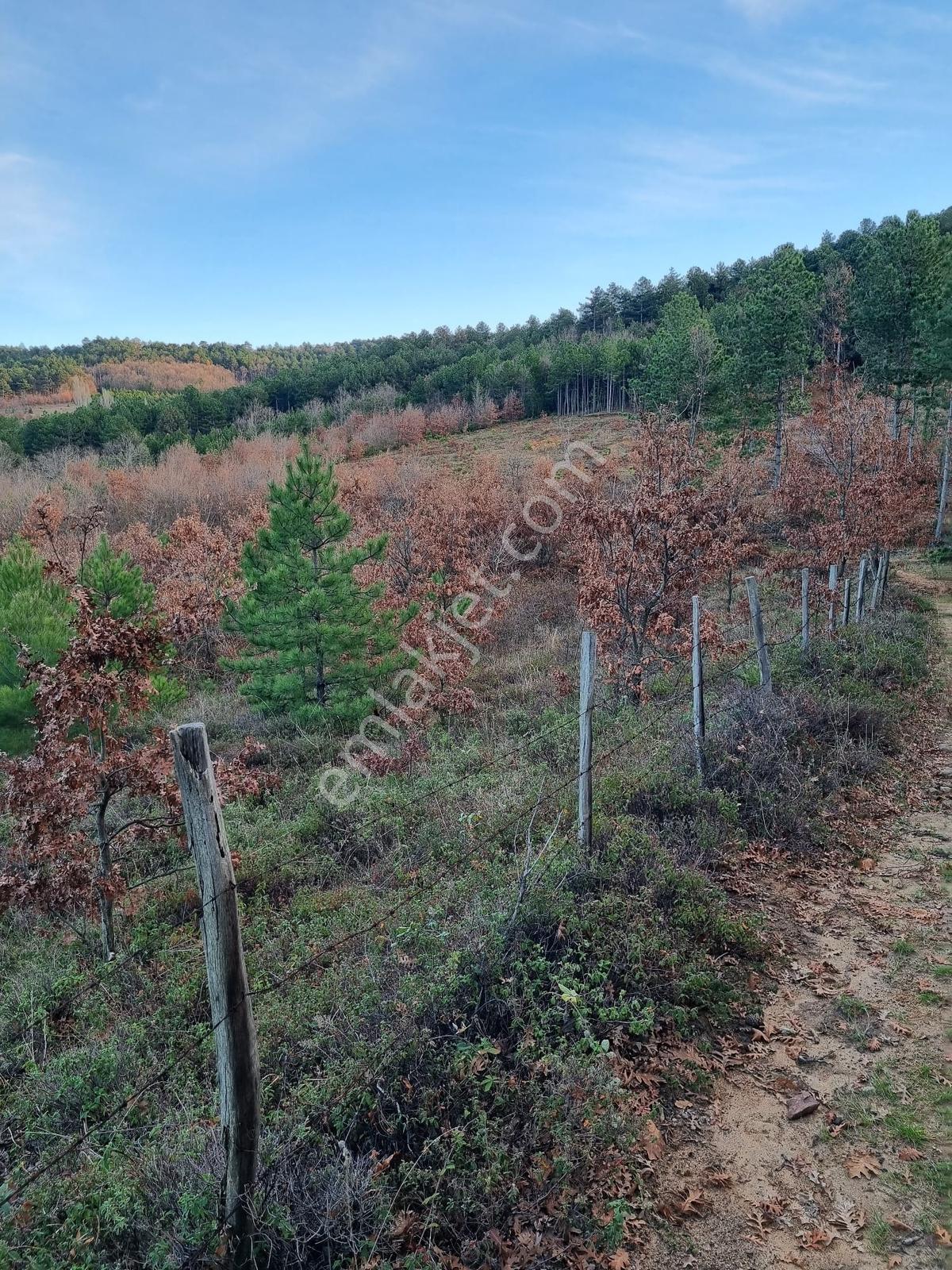 Bayramiç Osmaniye 60m Cepheli 3.625 M2 Yarı Fiyatına Acil Tarla - Görsel 34