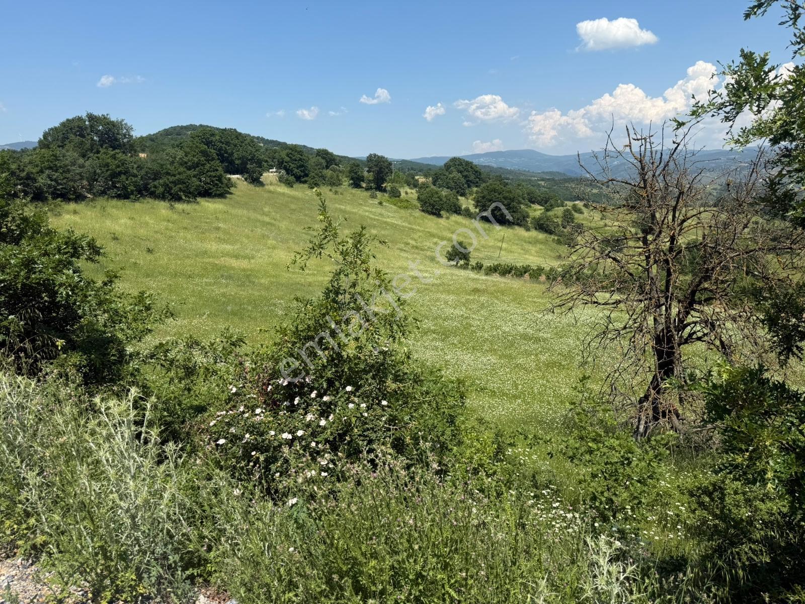 İznik - Gölcük Asfaltına Cepheli 3384 M2 Tarla - Görsel 35