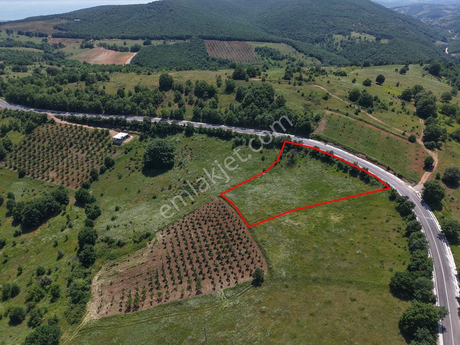 İznik - Gölcük Asfaltına Cepheli 3384 M2 Tarla - Görsel 6