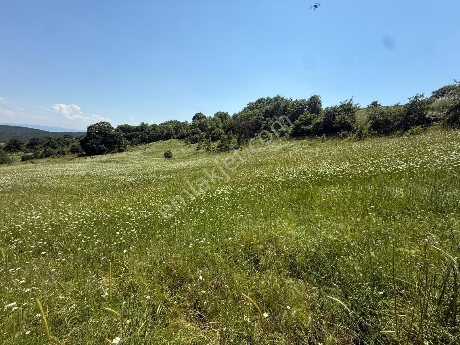 İznik - Gölcük Asfaltına Cepheli 3384 M2 Tarla - Görsel 15
