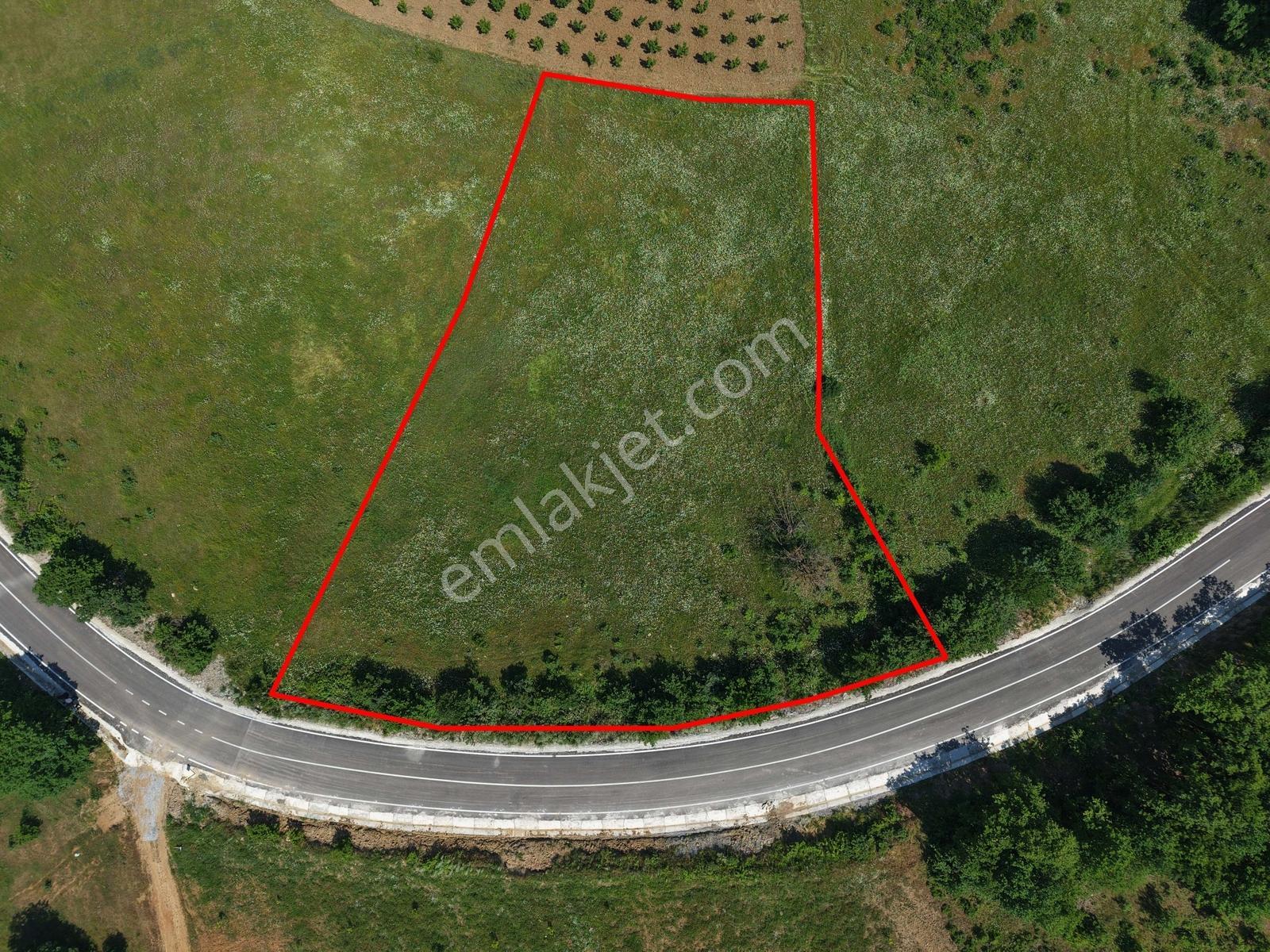İznik - Gölcük Asfaltına Cepheli 3384 M2 Tarla - Görsel 31