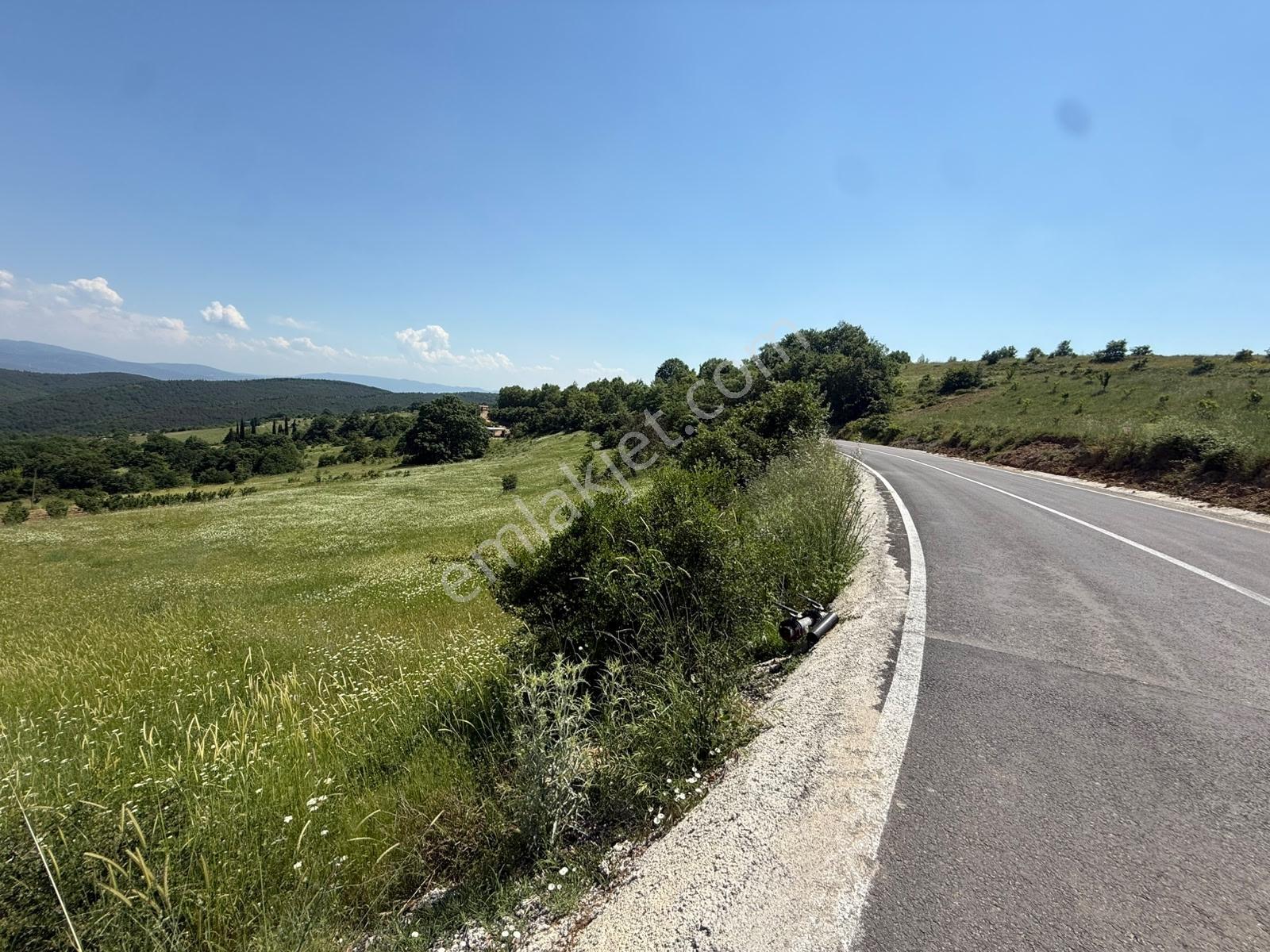 İznik - Gölcük Asfaltına Cepheli 3384 M2 Tarla
