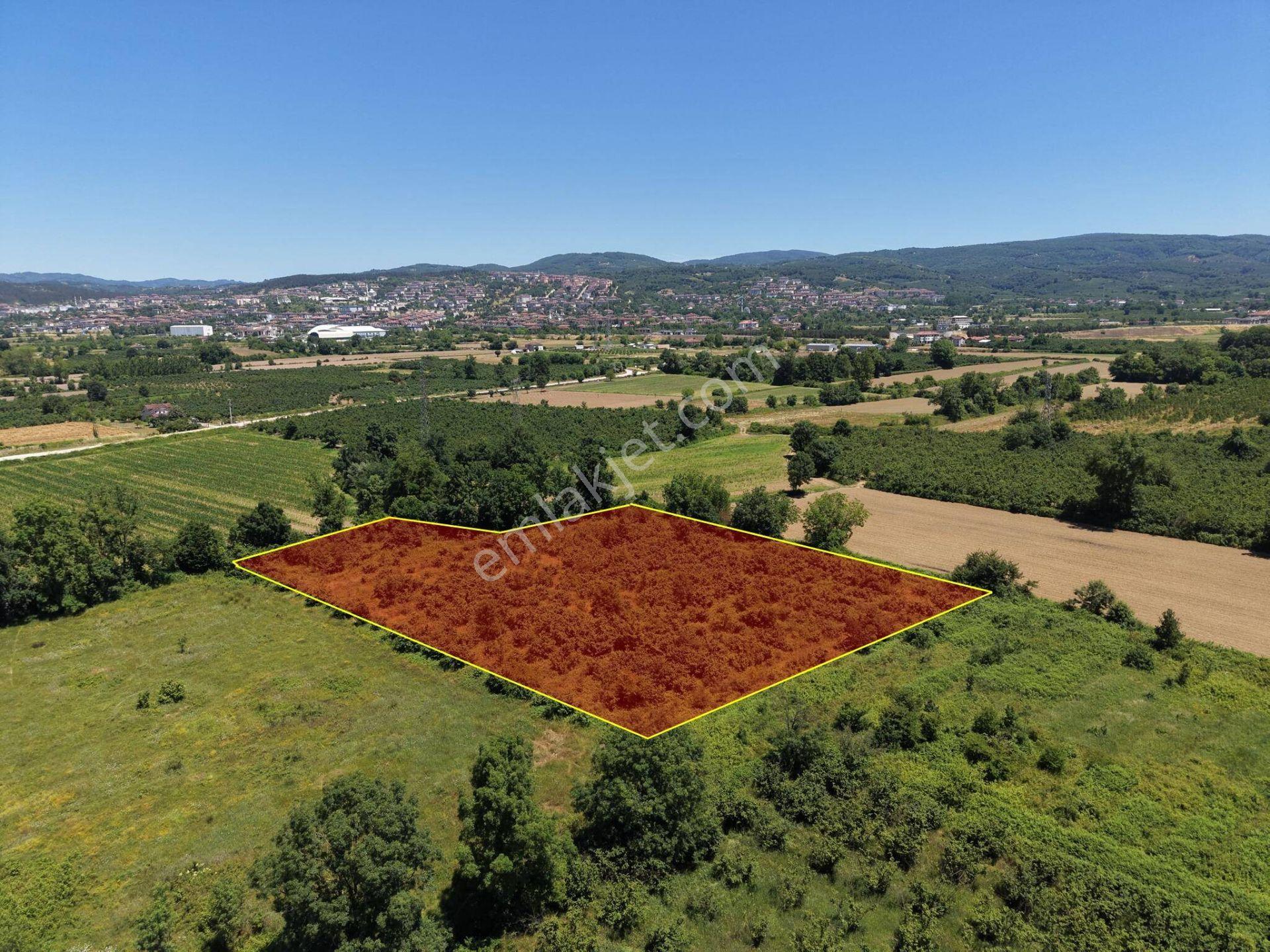 Gündolaması Köyü'nde Satılık 5.901 M² Yatırımlık Tarla - Görsel 12