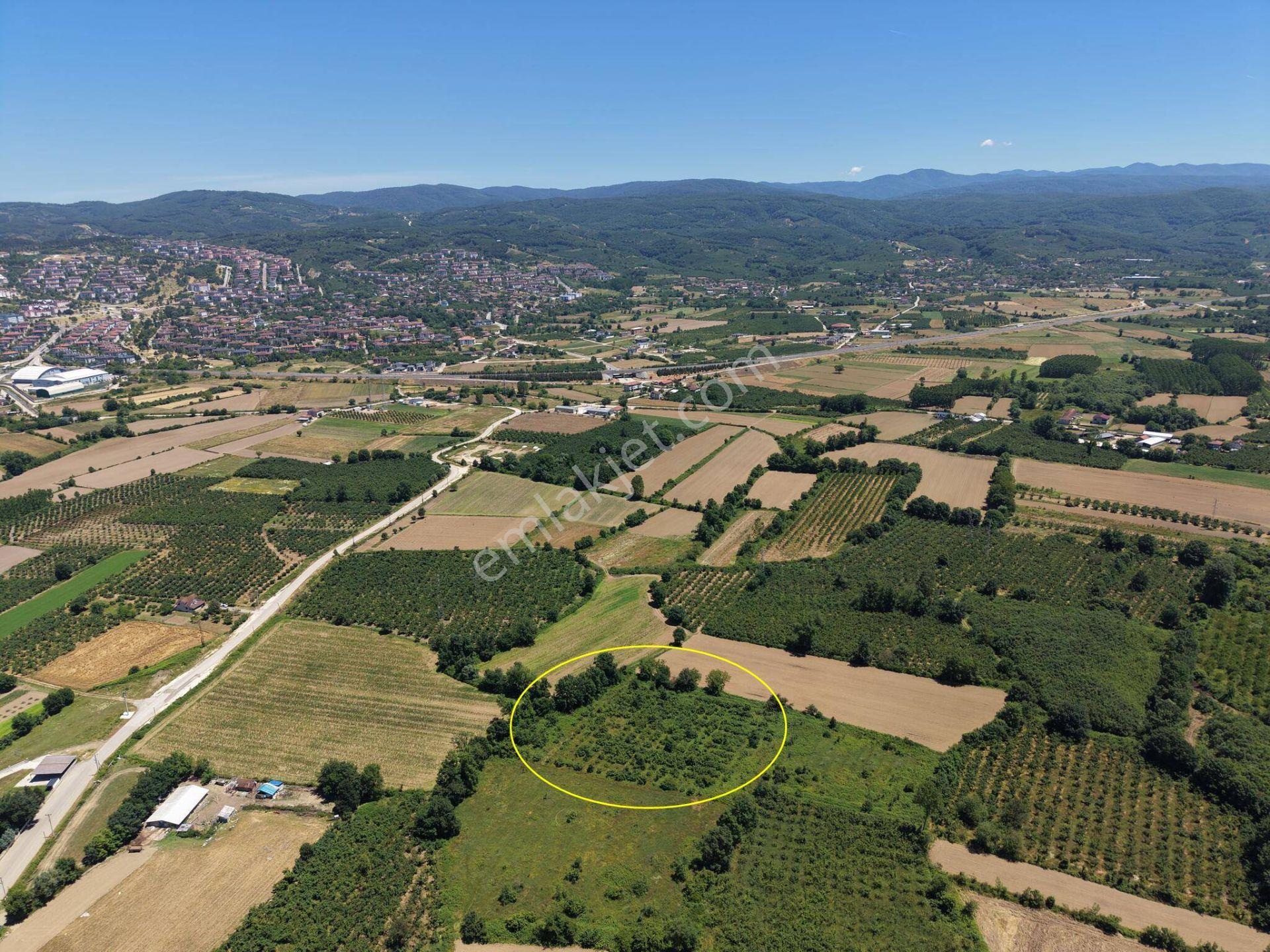 Gündolaması Köyü'nde Satılık 5.901 M² Yatırımlık Tarla - Görsel 24