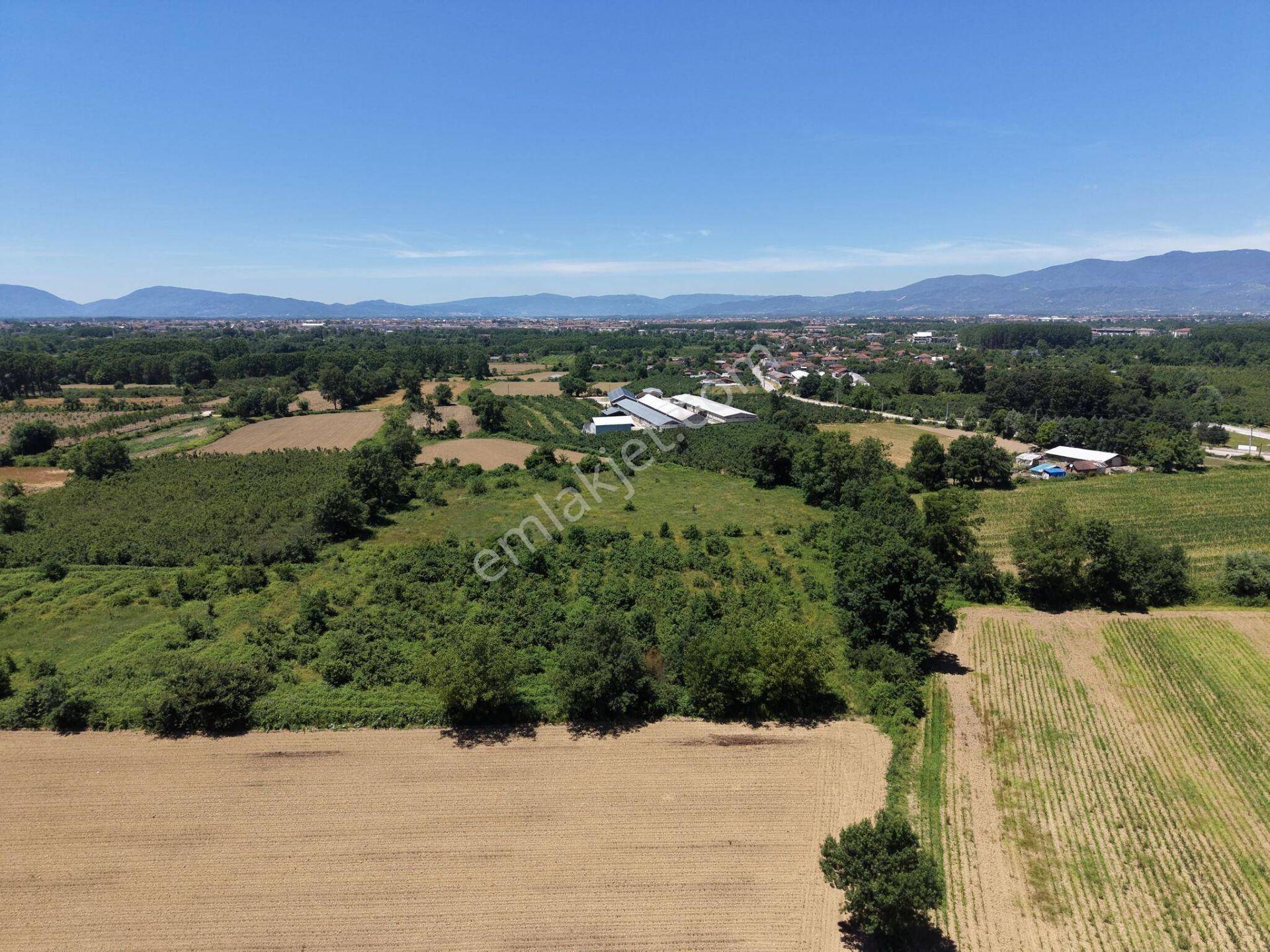 Gündolaması Köyü'nde Satılık 5.901 M² Yatırımlık Tarla - Görsel 20