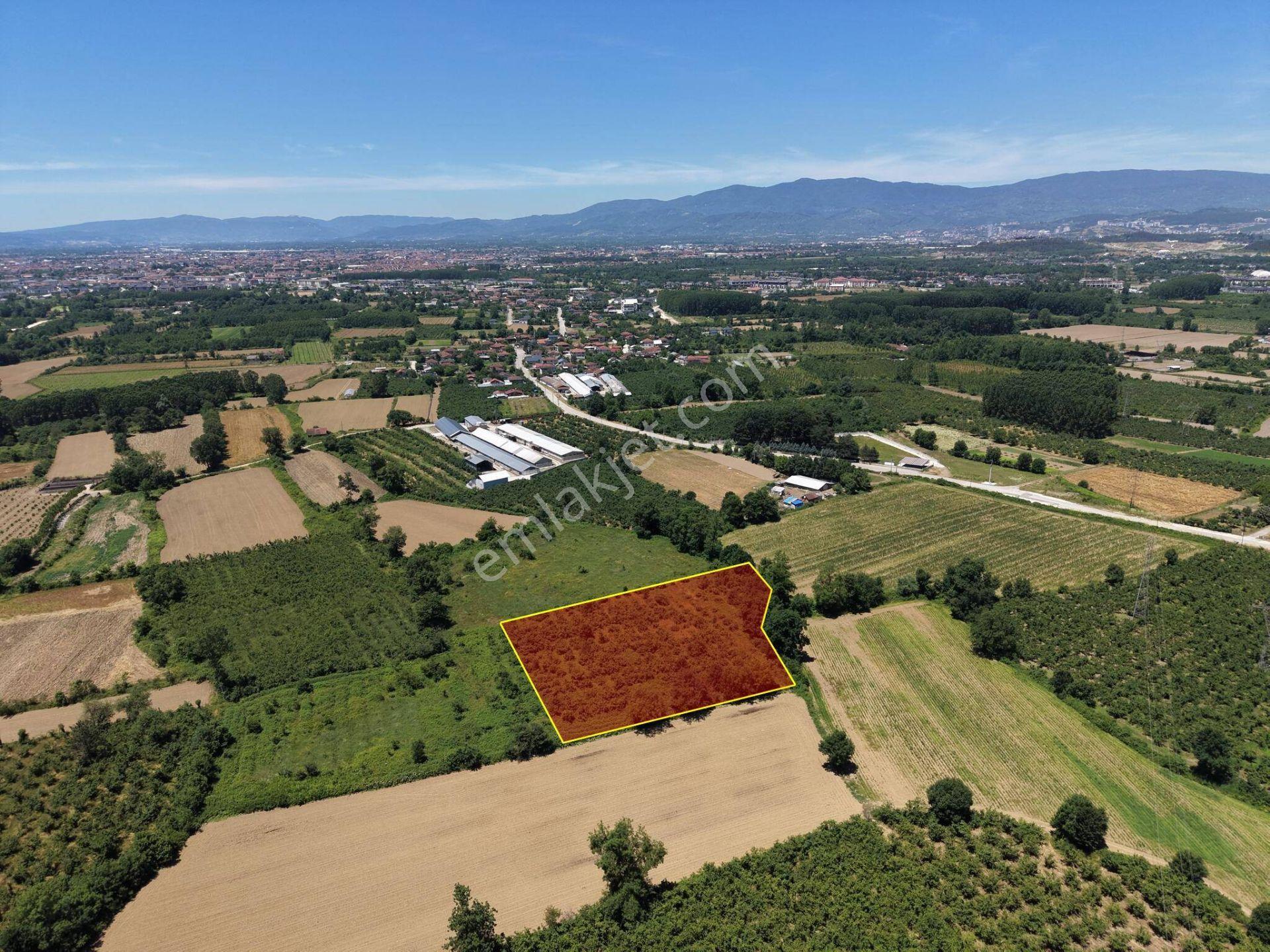 Gündolaması Köyü'nde Satılık 5.901 M² Yatırımlık Tarla - Görsel 4