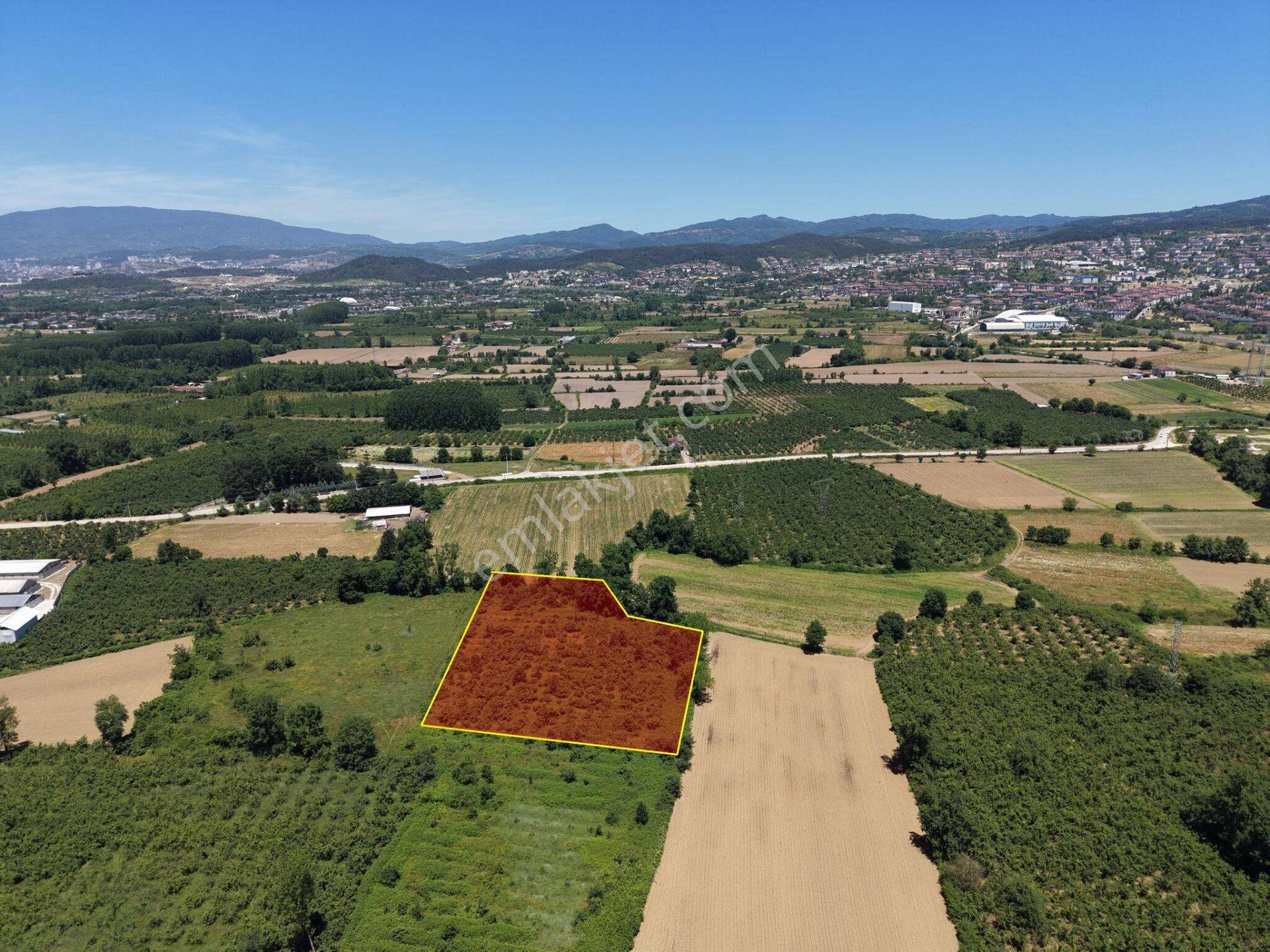 Gündolaması Köyü'nde Satılık 5.901 M² Yatırımlık Tarla - Görsel 15