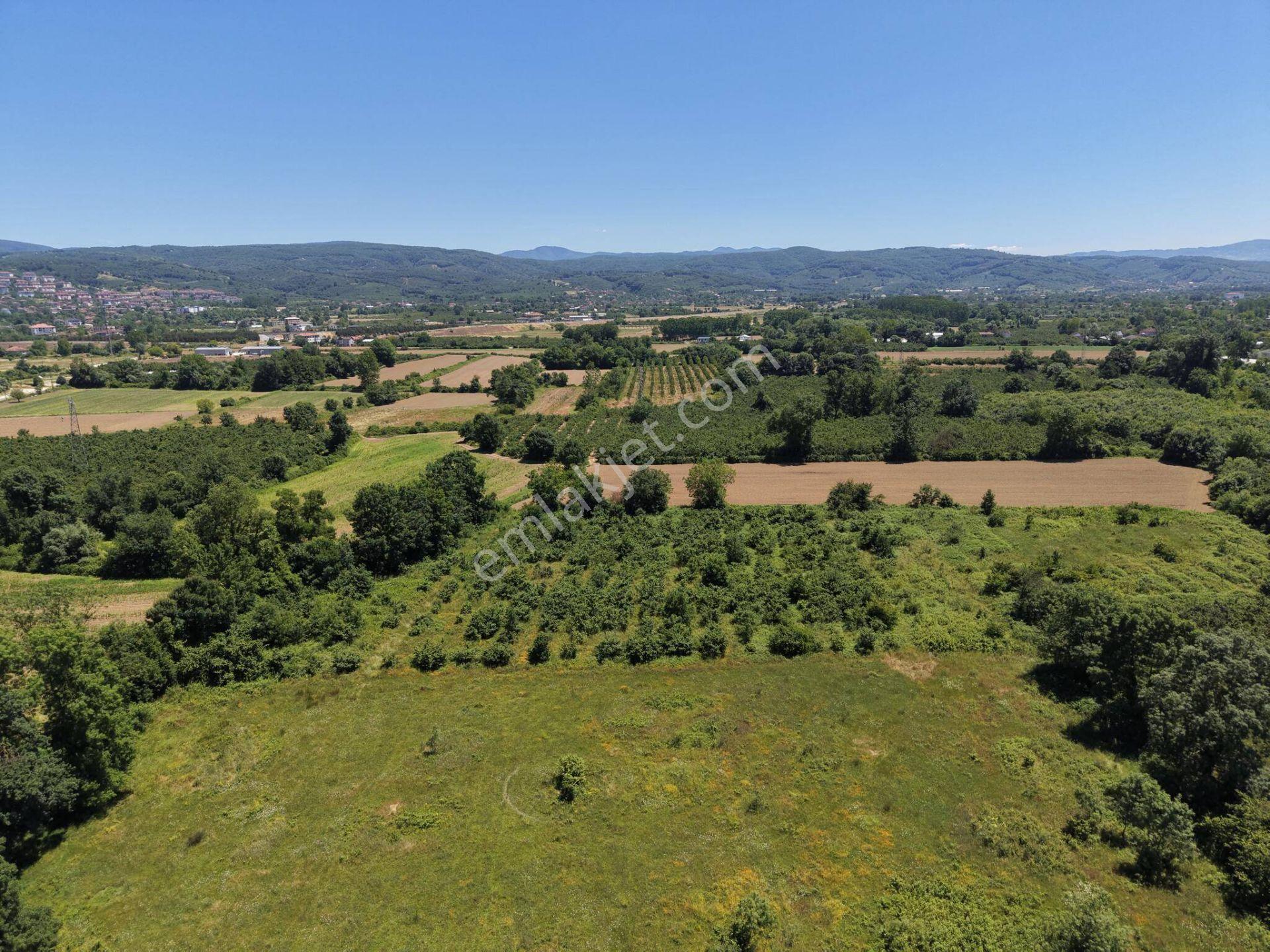 Gündolaması Köyü'nde Satılık 5.901 M² Yatırımlık Tarla - Görsel 19