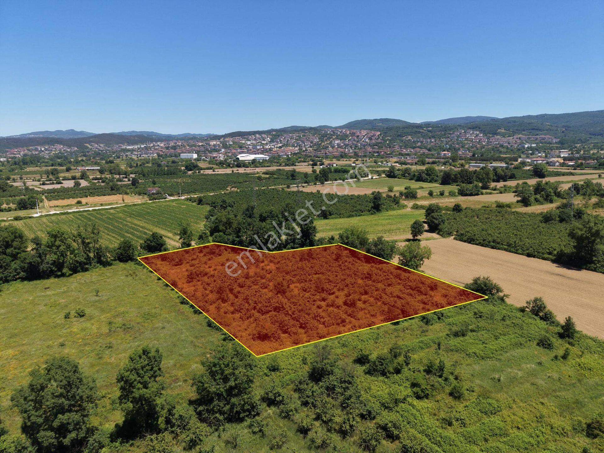 Gündolaması Köyü'nde Satılık 5.901 M² Yatırımlık Tarla