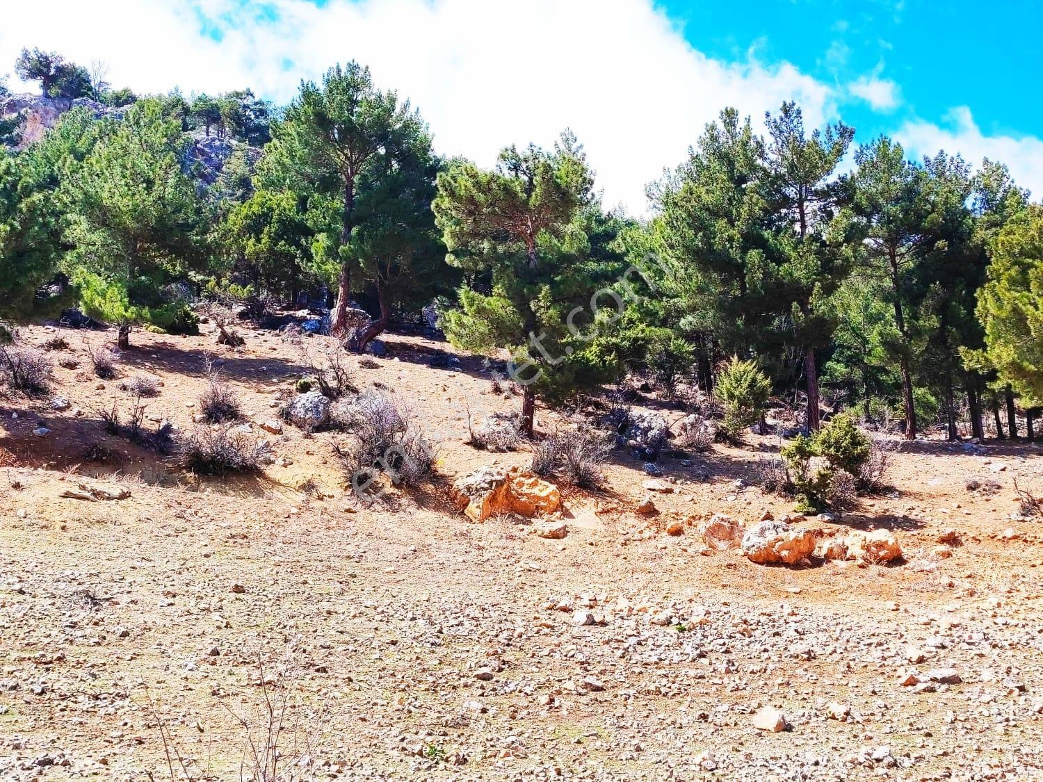 Kar Emlaktan Yenikonacık Bozkırlı Mevkiinde 430 M2 Satılık Arsa - Görsel 24