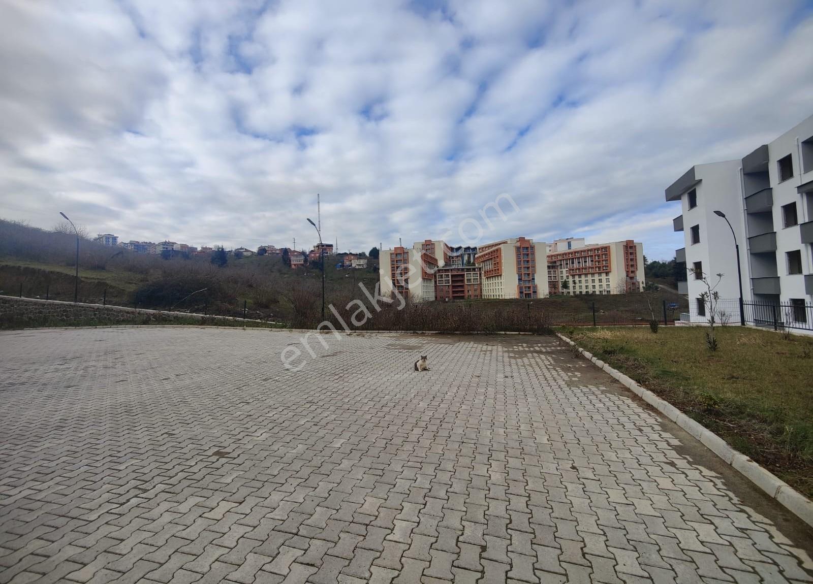 Redstone Şana Konaklar 1461 Kiralık 1+1 Site İçi Daire - Görsel 13