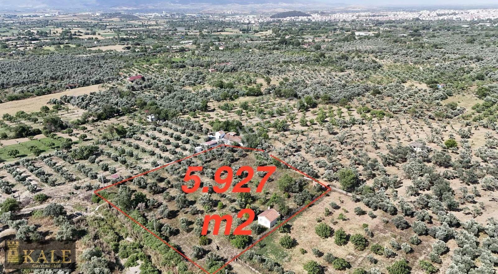 Kale'den İçinde Numaratajlı Evi Bulunan Bahçe