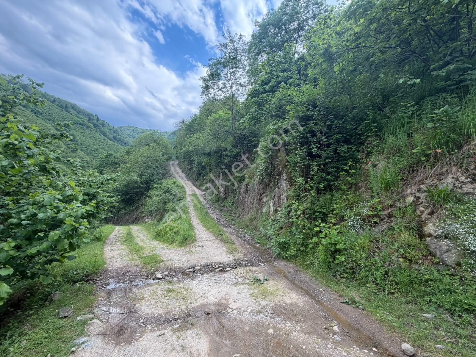 Delta Gayrimenkul'den Giresun Merkez Ülper'de Satılık Arsa - Görsel 26